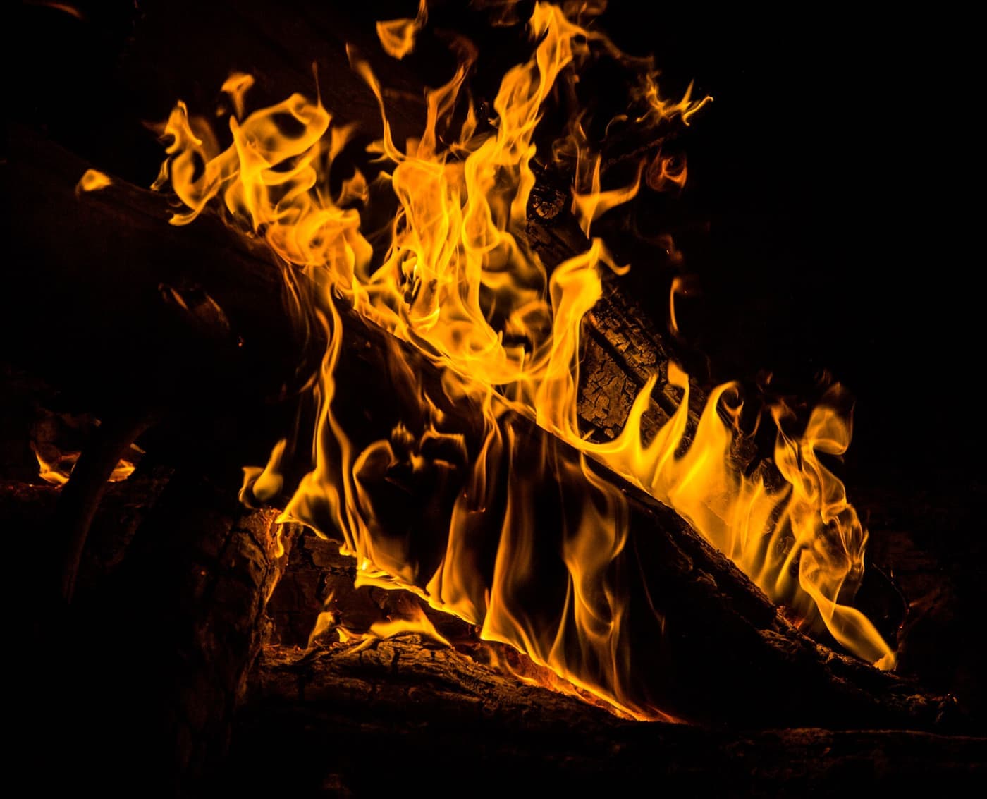 A campfire burning at night in a forest clearing
