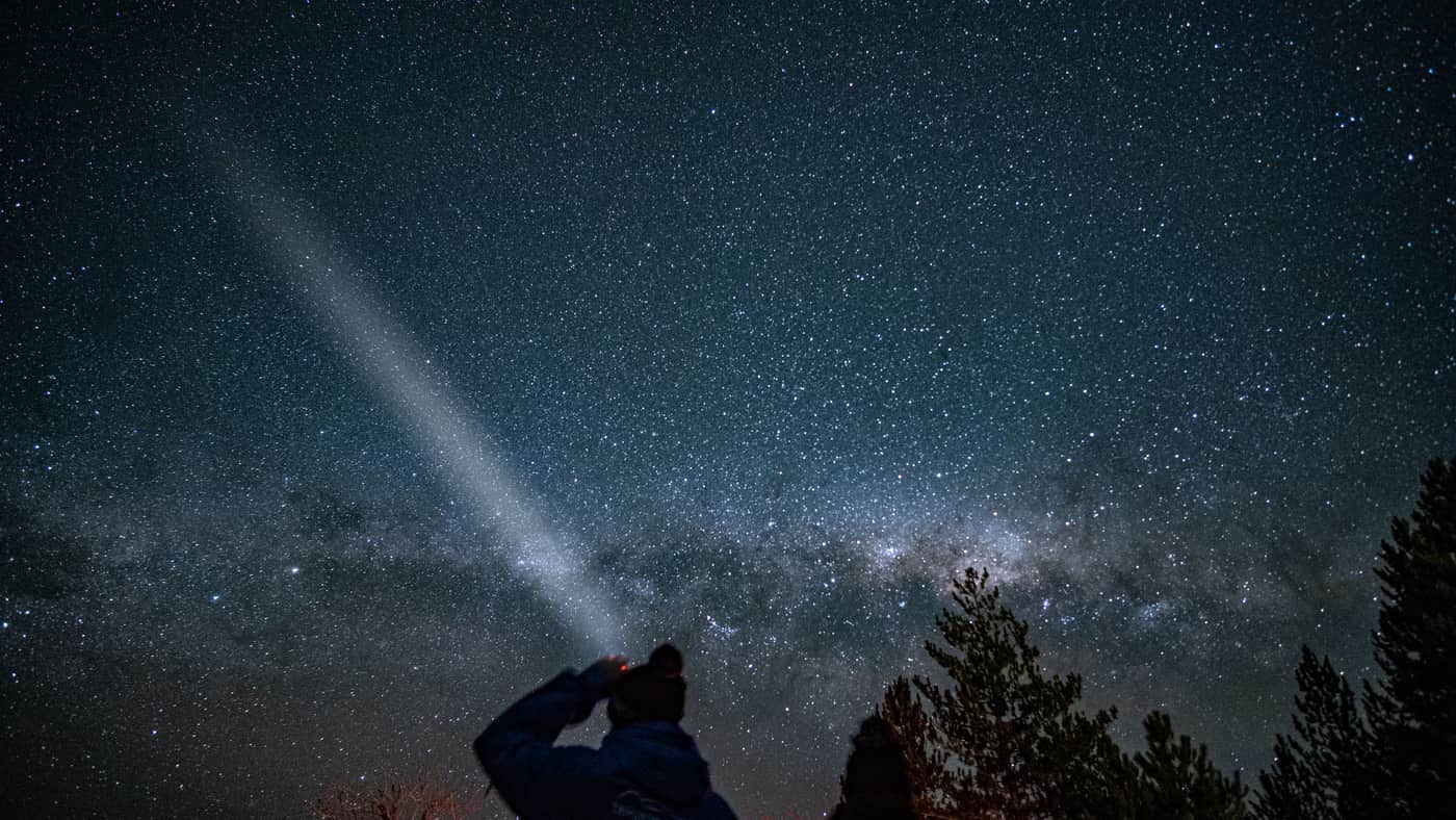 A flashlight beam cutting between trees at night