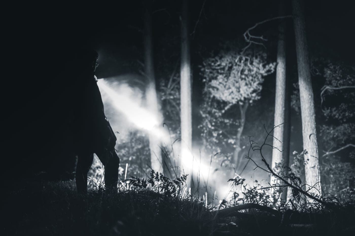 A person shining a flashlight along a path through a dark forest