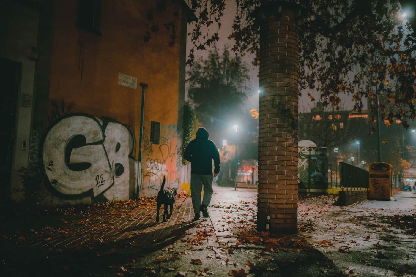 A person walking a dog along a dark street at night
